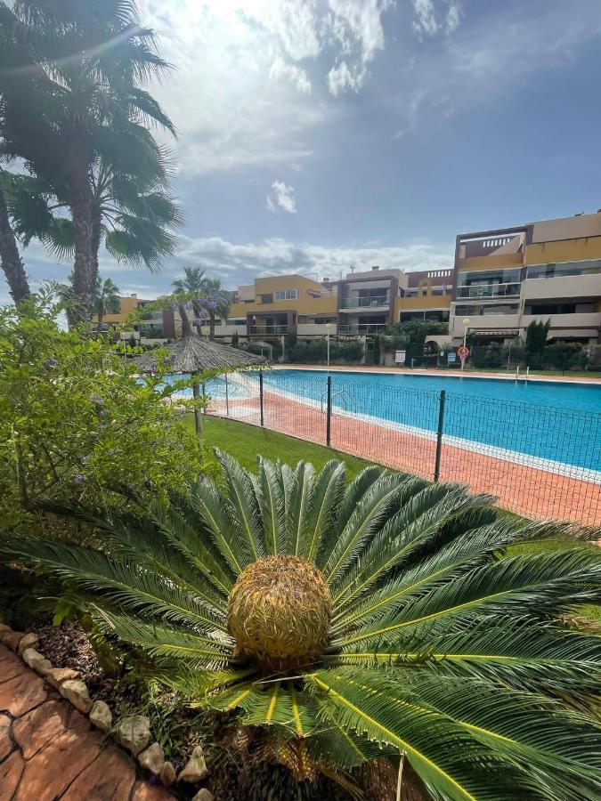 Casa Palmera - El Bosque - Playa Flamenca Zewnętrze zdjęcie